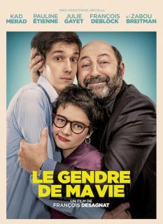 Voir Le gendre de ma vie en streaming sur Filmo