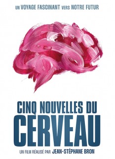 Voir Cinq nouvelles du cerveau en streaming sur Filmo