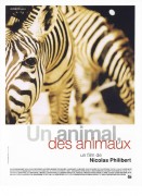 Voir Un animal, des animaux en streaming et VOD