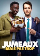 Voir Jumeaux mais pas trop en streaming et VOD