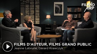 Films d'auteur, films grand public