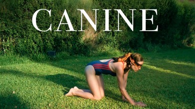 Voir Canine en streaming et VOD