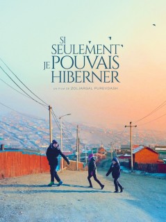 Voir Si seulement je pouvais hiberner en streaming sur Filmo