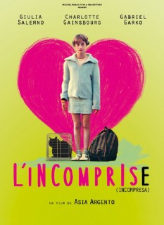 Voir L'Incomprise en streaming sur Filmo