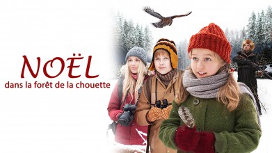 Voir Noël dans la forêt de la chouette en streaming et VOD