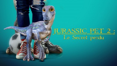 Voir Jurassic Pet 2 : Le secret perdu en streaming et VOD