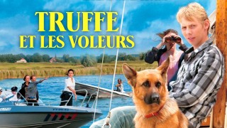 Voir Truffe et les voleurs en streaming et VOD