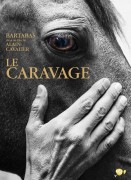 Voir Le Caravage en streaming et VOD