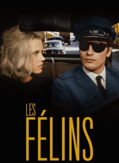 Voir Les félins en streaming sur Filmo