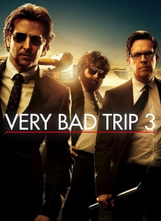 Voir Very Bad Trip 3 en streaming sur Filmo