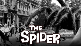 Voir The spider en streaming et VOD