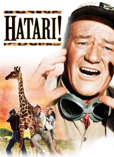 Voir Hatari ! en streaming sur Filmo