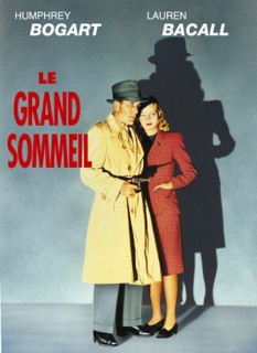 Voir Le grand sommeil en streaming sur Filmo