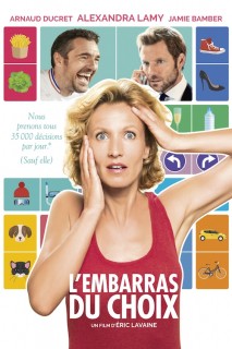 Voir L'embarras du choix en streaming sur Filmo