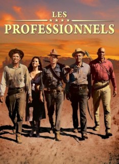 Voir Les professionnels en streaming sur Filmo