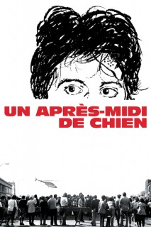 Voir Un après-midi de chien en streaming sur Filmo