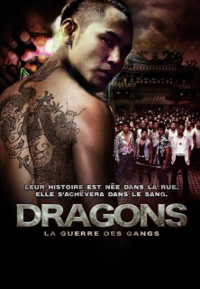 Voir Dragons en streaming sur Filmo