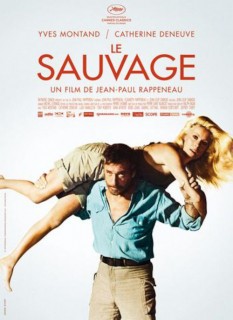 Voir Le sauvage (version restaurée) en streaming sur Filmo