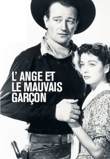 Voir L'ange et le mauvais garçon en streaming sur Filmo