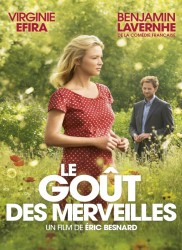 Voir Le goût des merveilles en streaming et VOD