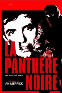 Voir La panthère noire en streaming sur Filmo