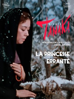 Voir La Princesse errante en streaming sur Filmo