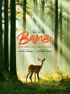 Voir Bambi, l'histoire d'une vie dans les bois en streaming sur Filmo