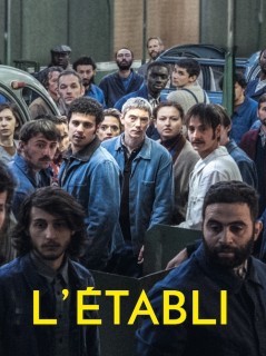 Voir L'Etabli en streaming sur Filmo