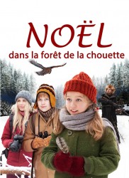 Voir Noël dans la forêt de la chouette en streaming et VOD