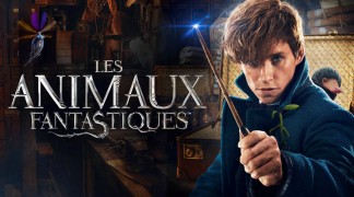 Les animaux fantastiques - extrait