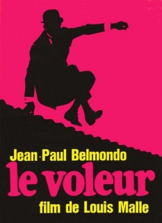 Voir Le voleur en streaming sur Filmo