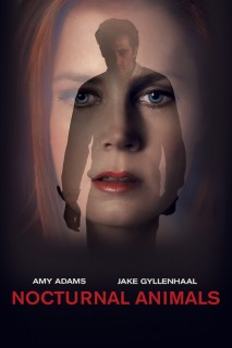 Voir Nocturnal Animals en streaming sur Filmo