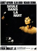 Voir Seule dans la nuit en streaming et VOD