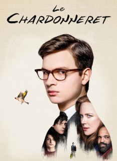 Voir Le chardonneret en streaming sur Filmo