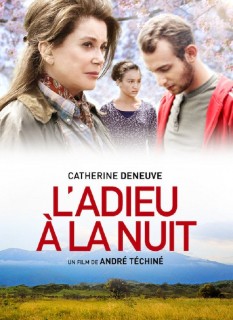 Voir L'adieu a la nuit en streaming sur Filmo