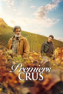 Voir Premiers crus en streaming sur Filmo