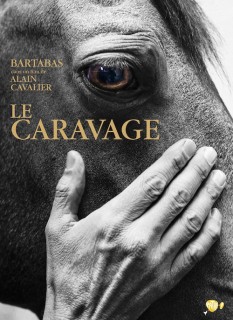 Voir Le Caravage en streaming sur Filmo