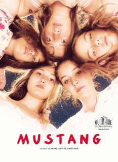 Voir Mustang en streaming sur Filmo