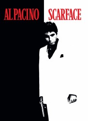 Voir Scarface en streaming et VOD