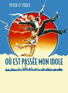 Voir Où est passée mon idole ? en streaming sur Filmo