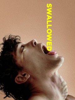 Voir Swallowed en streaming sur Filmo