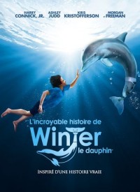 Voir L'incroyable histoire de Winter le dauphin en streaming et VOD