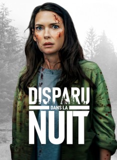 Voir Disparu dans la nuit en streaming sur Filmo