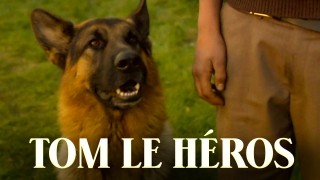 Voir Tom le héros en streaming et VOD