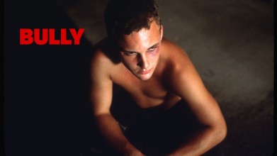 Voir Bully en streaming et VOD