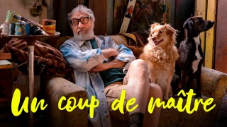 Voir Un coup de maître en streaming et VOD