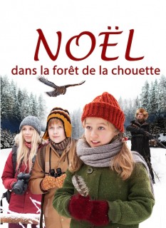 Voir Noël dans la forêt de la chouette en streaming sur Filmo