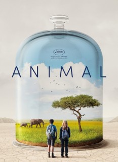 Voir Animal en streaming sur Filmo