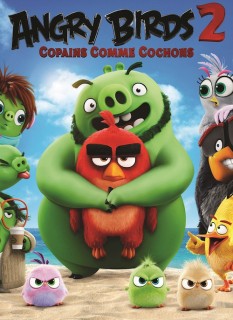 Voir Angry birds 2 : copains comme cochons en streaming sur Filmo