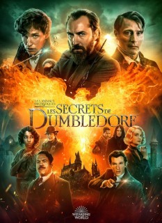 Voir Les Animaux Fantastiques : Les Secrets de Dumbledore en streaming sur Filmo